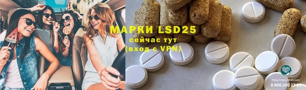 мдпв Кулебаки
