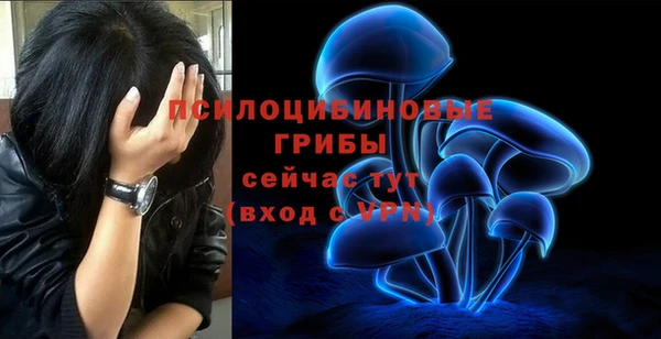 спайс Краснослободск