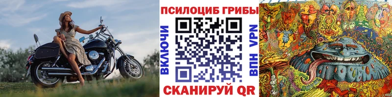 Купить  Бодайбо  Псилоцибиновые грибы Magic Shrooms 